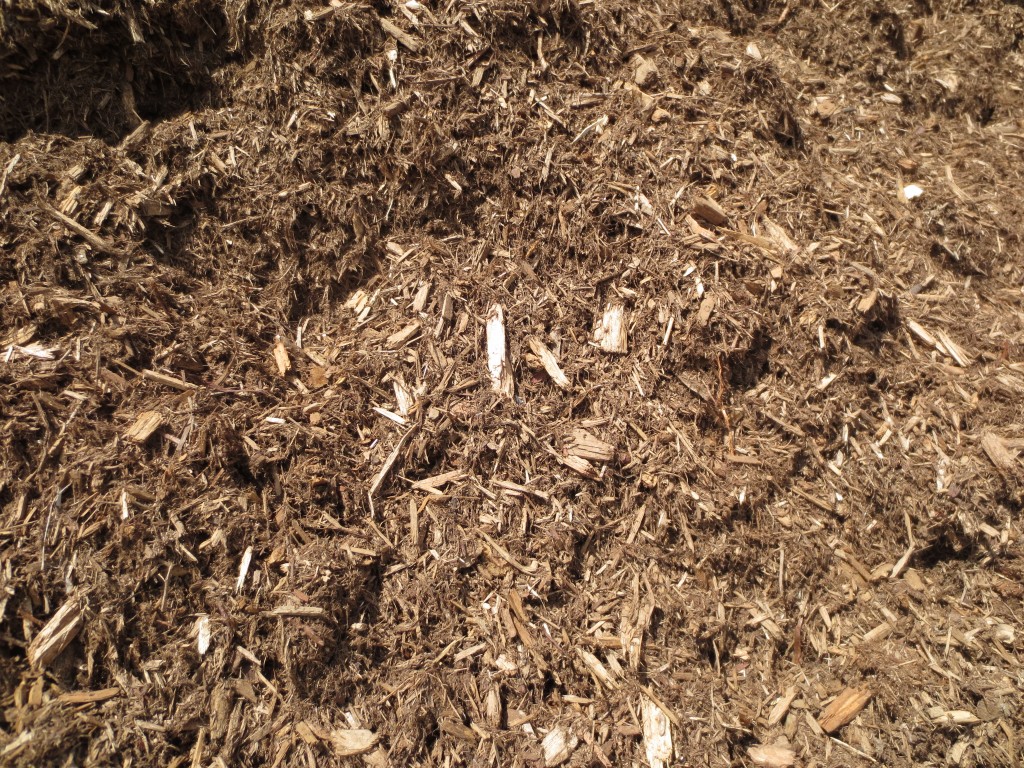 Cedar Mulch VNP Top Soil