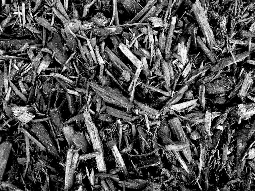 V&P's Topsoil London Topsoil, landscaping, landscape, sod VNP Top Soil